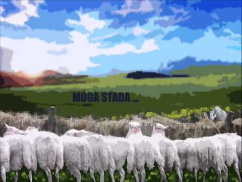 Pesme sa dahom humora: "BELA RADO, KO TI ČUVA STADO?"