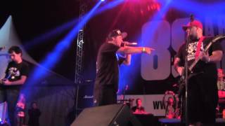 Raimundos Cantando Charlie Bronw Jr.