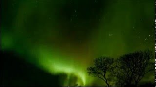 &quot;Magnifico&quot; di Fedez &amp; Francesca Michielin