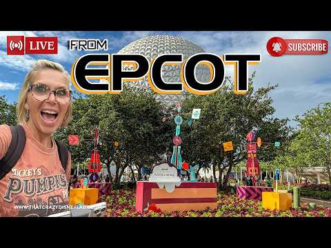 Live webcam of That Crazy Disney Lady