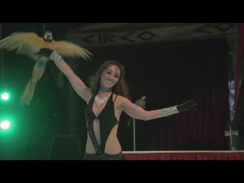 The KDMS - Bones (Original)