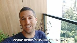 איך שותלים עץ לימון בצורה נכונה בעציץ
