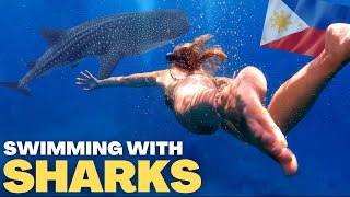 WE SWAM WITH SHARKS 🇵🇭