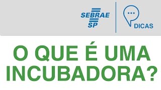 O Bobo e os trabalhadores. Ótica Maquiavel.