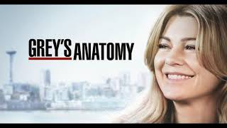 Grey's Anatomy Soundtrack | S15E13 | Bridges | ERTHLINGS |