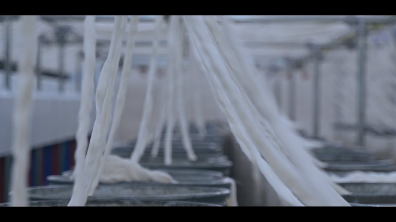 Forging a future: Reviving the Syrian garment sector in Aleppo