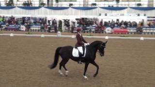 Nibeley Union Hit Medium Freestyle Winter Nationals 2017