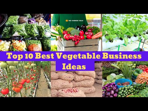 , title : 'Top 10 Best Vegetable Business Ideas || Low Investment With High Profit'