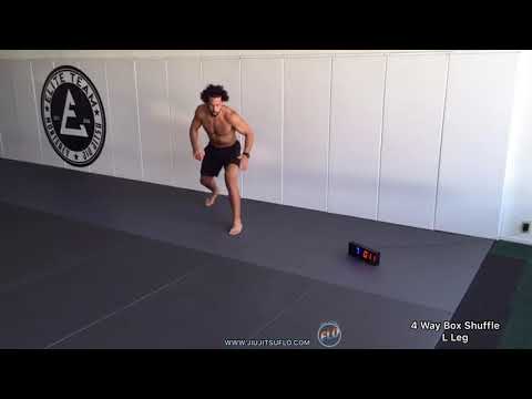 30 Minute Home HIIT  (Follow Along) Workout #10 - Jiu Jitsu FLO