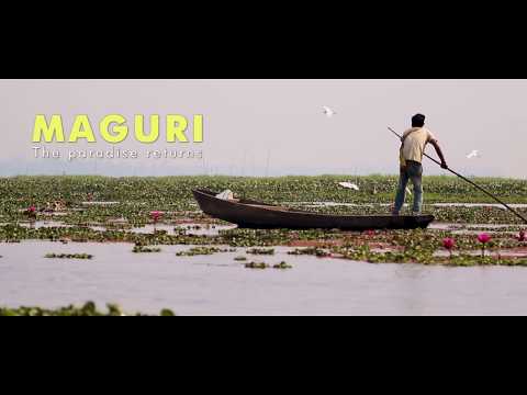 Maguri - The Paradise Returns l Official Teaser 2019 l Imon Abedin l Wild Feather Creations