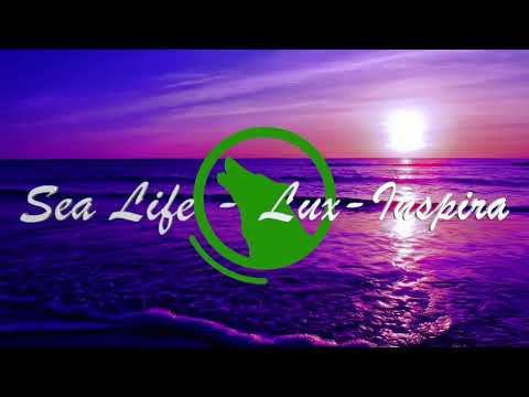 Sea Life - Lux-Inspira