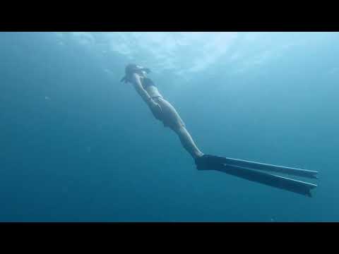 Lazyfish 懶魚二代開箱 東北角 83K