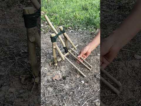 Trap in the Forest! #survival #outdoors #bushcraft