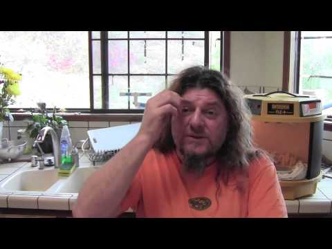 Capsicum tovarii; a rare wild species