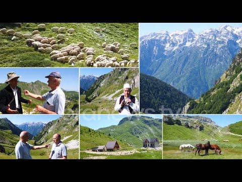 Bjeshkët e Nemuna në Tropojë, parajsa e pazbuluar e alpeve shqiptare ku koha ka ndaluar