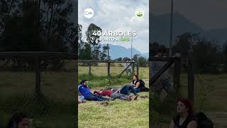 ¡@sasnw.co y Fundación Red de Árboles unimos fuerzas!