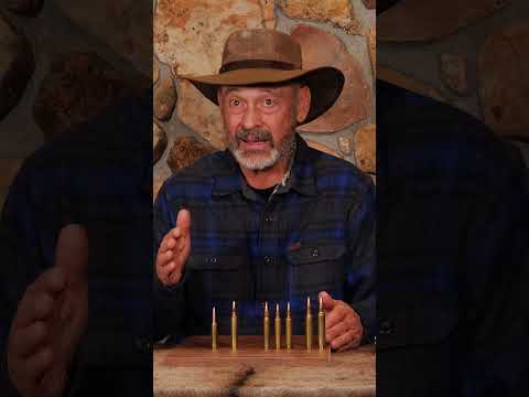 The BEST Cartridge for Mountain Hunters