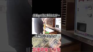 おみくじ引いたらまさかの結果 #ぱちんこ #パチンコ #パチンコ動画 #さんぽ #散歩 #神社 #雑談