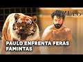 PAULO O APÓSTOLO Paulo E Prisioneiros Enfrentam Feras Famintas Na Arena