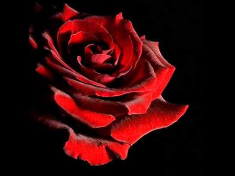 Alexander Khaindrava. Astor Piazzola. Oblivion