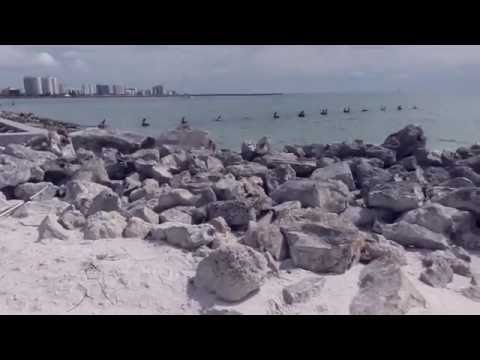 AbbyMaslow2016’s Video 138364111702 1wLn1fiD_zw