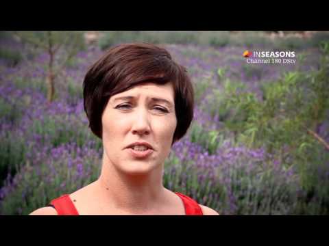 download lagu mp3 mp4 Lavender South Africa, download lagu Lavender South Africa gratis, unduh video klip Lavender South Africa