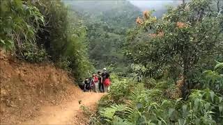 preview picture of video 'Wardon to Nature at Curug Mariuk'