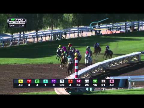 RACE REPLAY: 2015 Daytona Stakes