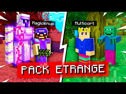 We create a Minecraft WTF texture pack in 1 hour!  (with Multicort)