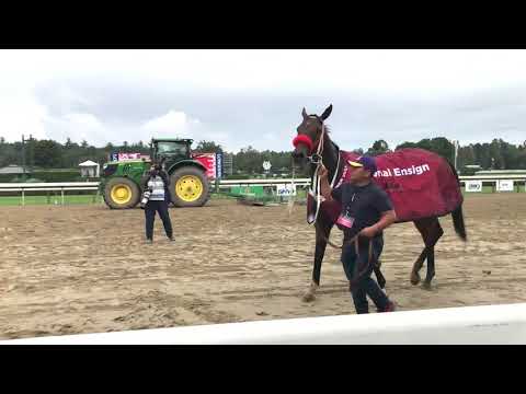 Letruska after her win in the Personal Ensign Stakes