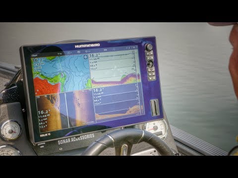 Comparing Fish on 2D Sonar and Down Imaging