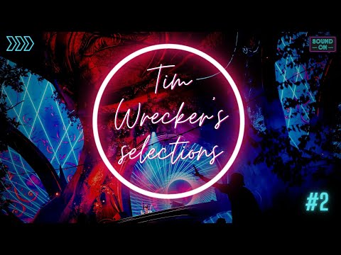 Tim Wrecker's Selections #2 - THE BEST EDM, FESTIVAL & CLUB MUSIC | Popular Mashups & Remixes