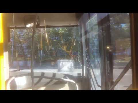 Maz 203 kratka vožnja od stanice,, OŠ Djura Jakšić'' do stanice,, Stanka Paunovića '' (linija 502)