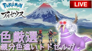 【レジェンズアルセウス】親分トドゼルガ色違い厳選#2 アプデ来たのに村戻れないから何もできないの辛い  遭遇回数1496回～