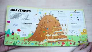 Čo sa deje v mravenisku - videoukázka