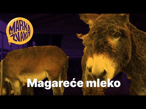 Marka Žvaka - Magareće mleko
