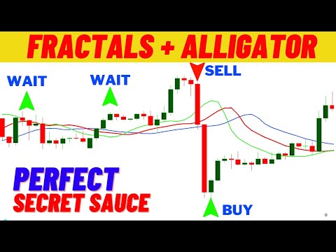 Fractal Indicator + Alligator Indicator Trading Strategy - 100% Win Rate - Fractal Trading Secrets