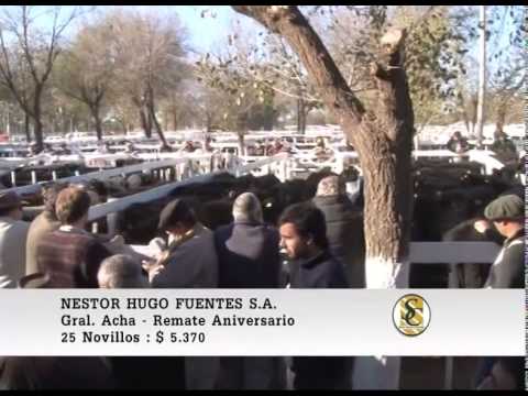 12-06-15 Venta de Invernada - Nestor Hugo Fuentes S.A. - Gral Acha.