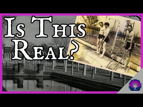 We Need to Talk About the Auschwitz "Swimming Pools"