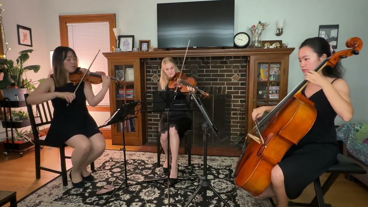 Promotional video thumbnail 5 for Classical musician for your event