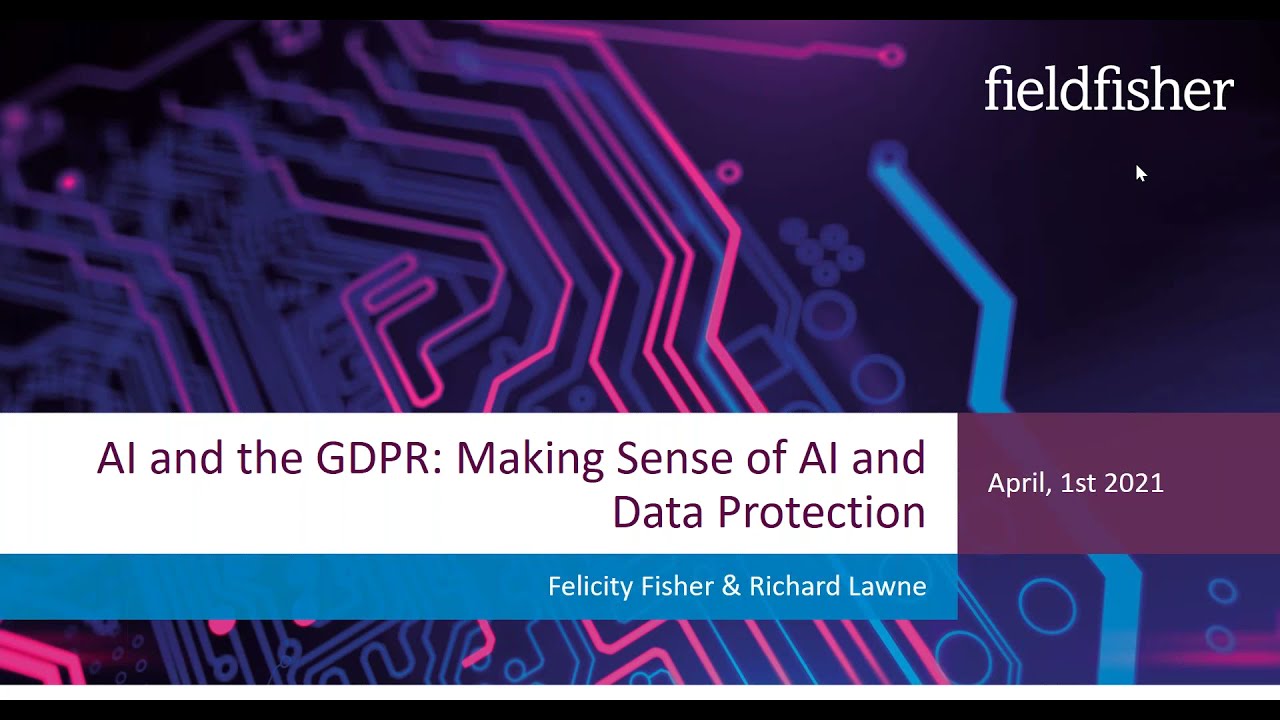 AI and the GDPR (1): Making sense of AI and data protection