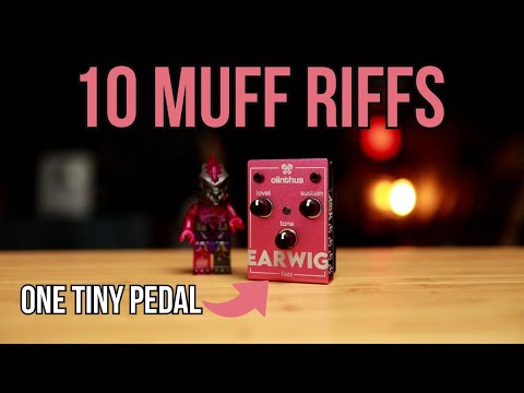 10 Muff Riffs - One Tiny Pedal!! | Olinthus Earwig Fuzz Pedal Demo