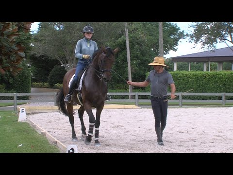 Imitator on his way to Grand Prix , Collection Lesson 2.