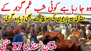 Download lagu Today Multan Cow Mandi Video Fresh Latest Update Qurbani 2026 || Global Village Farming  mp3