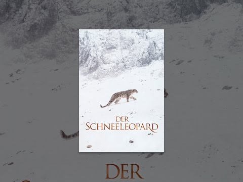 Der Schneeleopard