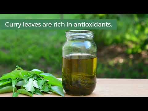 Curry leaf oil, 100% pure