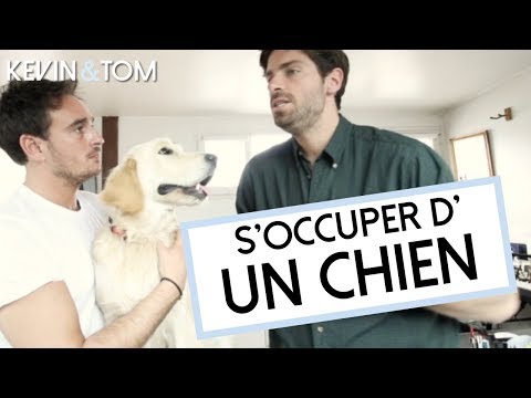 S'OCCUPER D'UN CHIEN - KEVIN & TOM