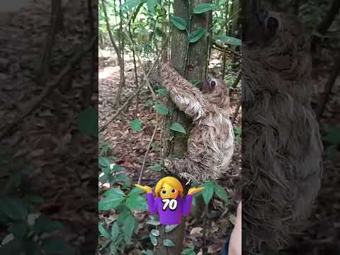 Este túnel gigante no fue hecho por humanos, ni marcianitos, ni goku