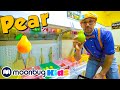 Blippi Visits A Children S Museum Seattle S Chlidren S Museum Moonbug Kids TV Shows Full Episodes