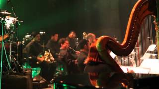 05 Fallen Angel  King Crimson